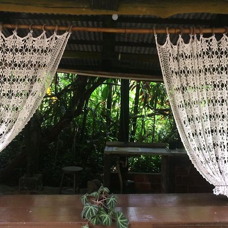 Pousada Do Oasis Morretes Εξωτερικό φωτογραφία