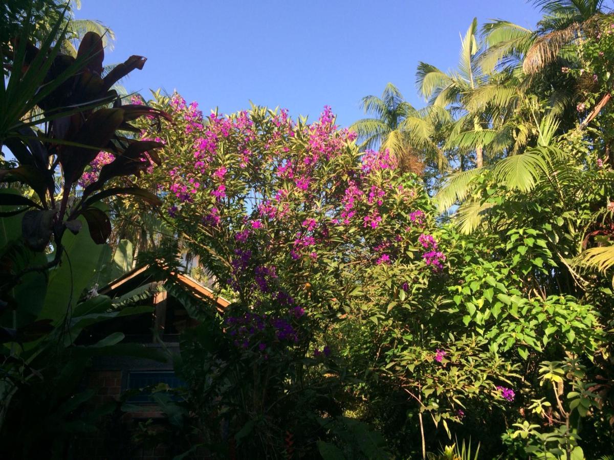 Pousada Do Oasis Morretes Εξωτερικό φωτογραφία