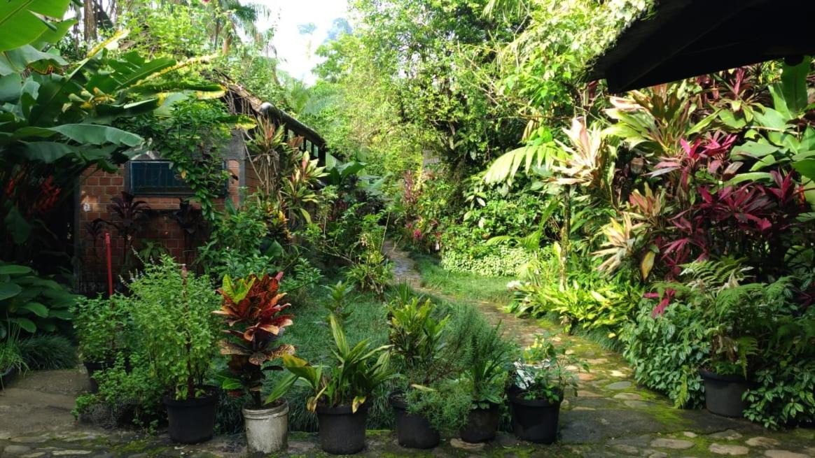 Pousada Do Oasis Morretes Εξωτερικό φωτογραφία