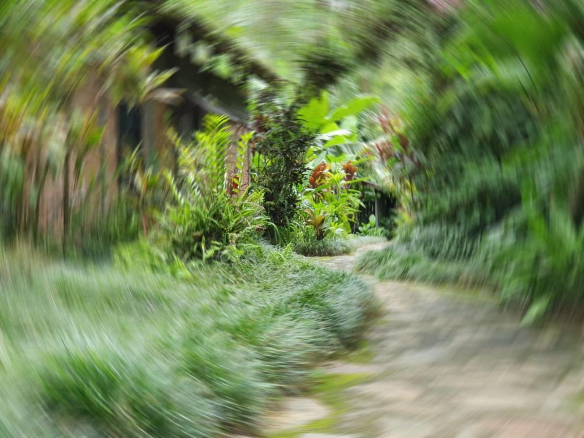Pousada Do Oasis Morretes Εξωτερικό φωτογραφία