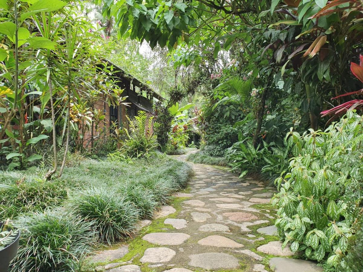 Pousada Do Oasis Morretes Εξωτερικό φωτογραφία