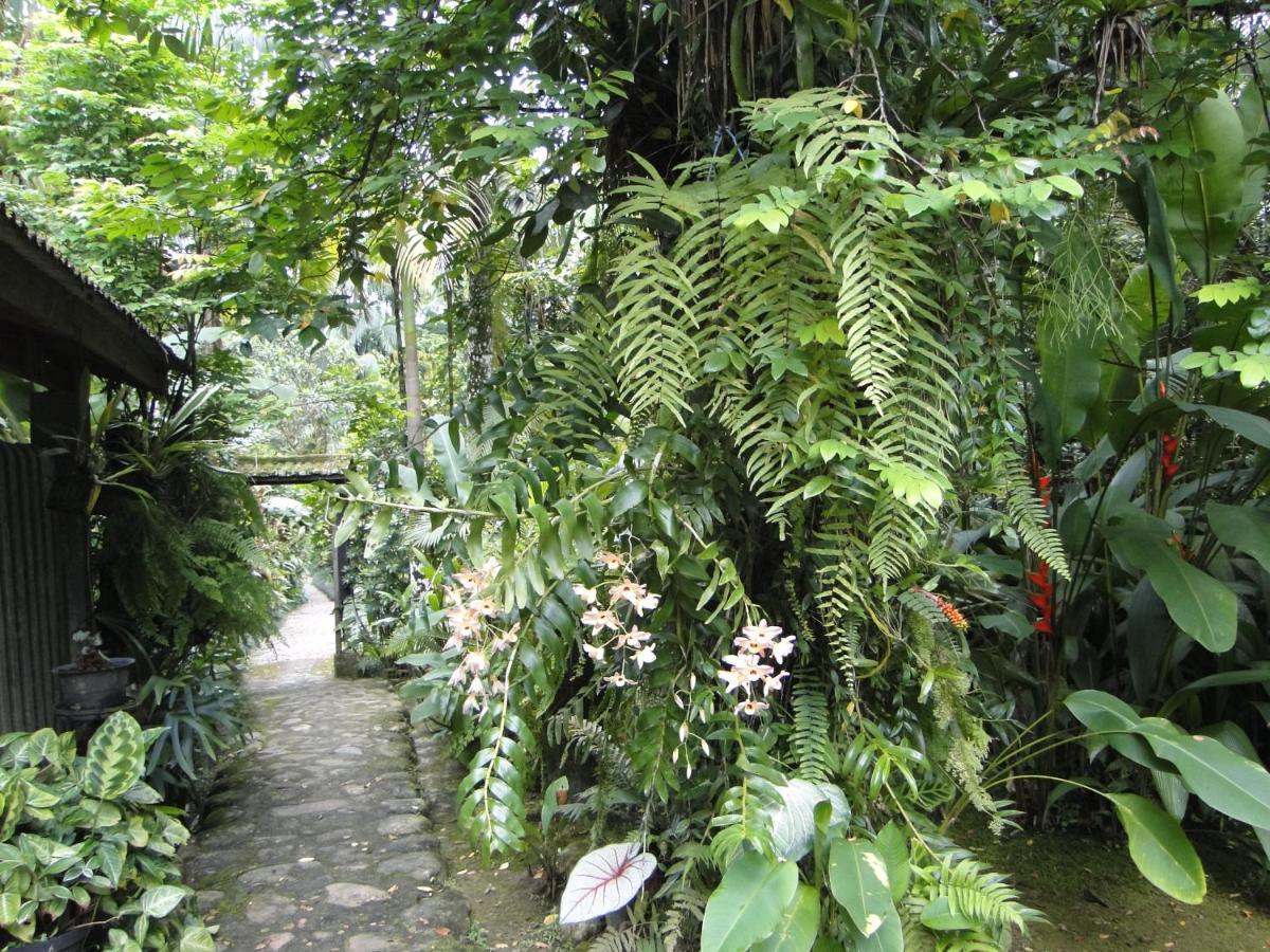 Pousada Do Oasis Morretes Εξωτερικό φωτογραφία